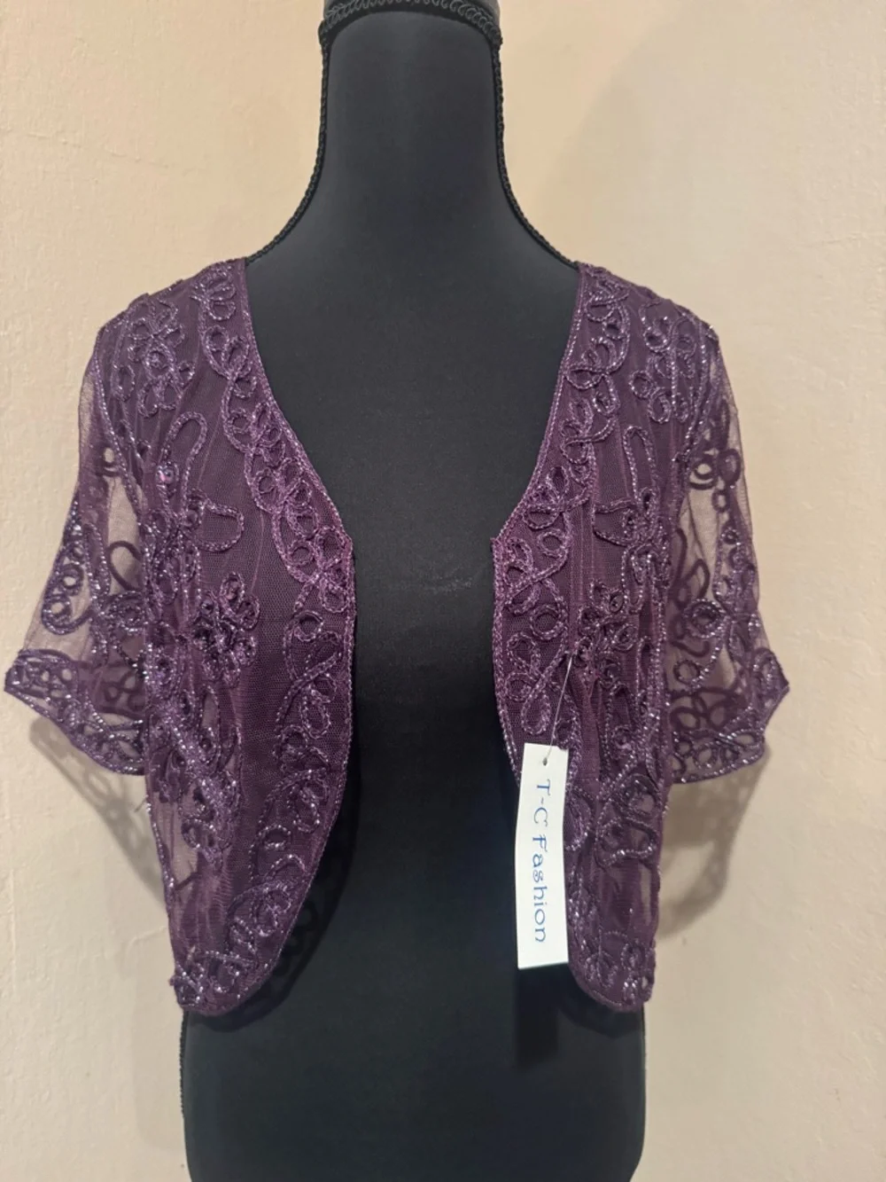 Plum Embroidered Beaded Mesh Bolero with Beadwork, Silver Threading and Sequins - Picture 3 of 8